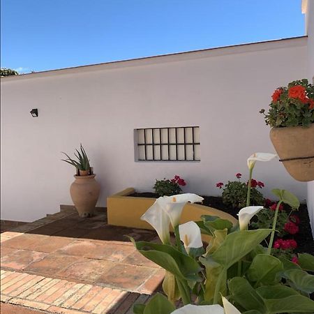 Encantador Apartamento-Centrico-Con Amplio Jardin Torremolinos Ngoại thất bức ảnh