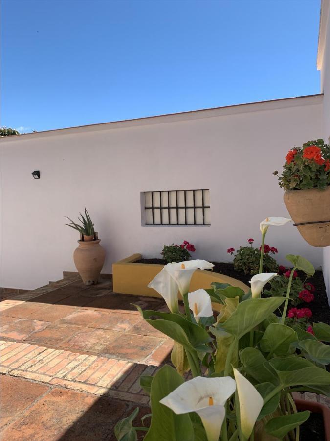 Encantador Apartamento-Centrico-Con Amplio Jardin Torremolinos Ngoại thất bức ảnh