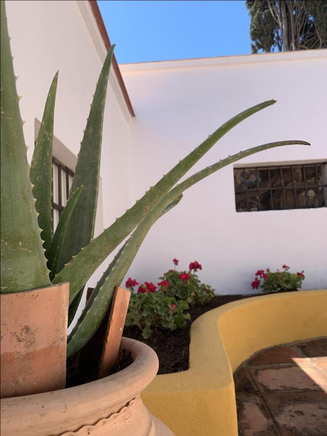 Encantador Apartamento-Centrico-Con Amplio Jardin Torremolinos Ngoại thất bức ảnh